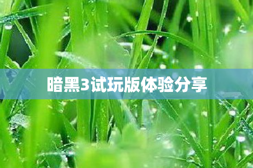 暗黑3试玩版体验分享图片