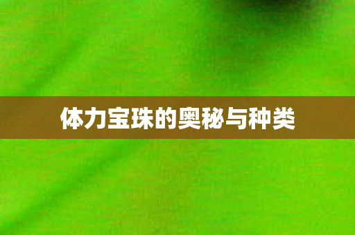 体力宝珠的奥秘与种类图片