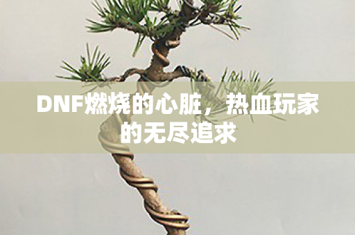 热血玩家的无尽追求图片