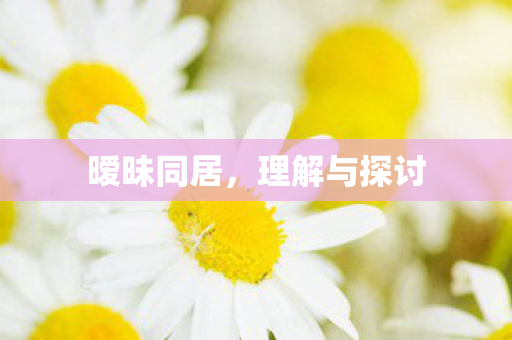 理解与探讨图片