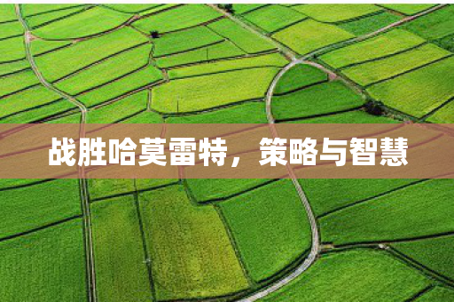 战胜哈莫雷特图片