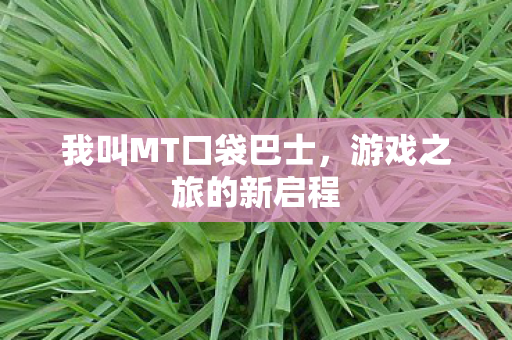 我叫MT口袋巴士图片