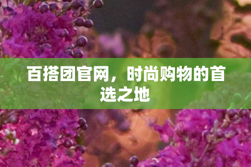 时尚购物的首选之地图片