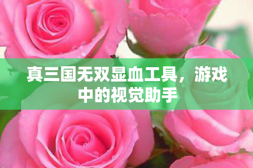 真三国无双显血工具图片