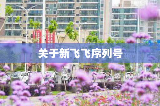关于新飞飞序列号图片