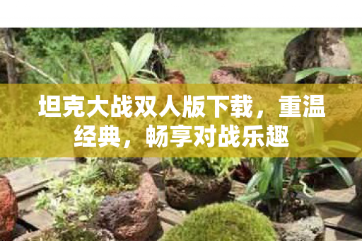 坦克大战双人版下载图片