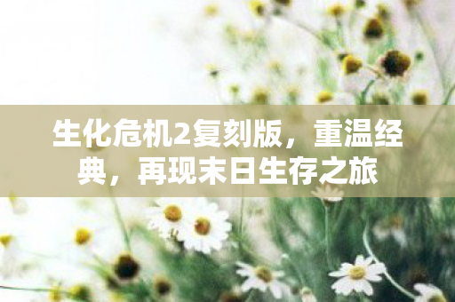 生化危机2复刻版图片