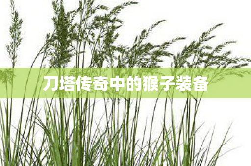 刀塔传奇中的猴子装备图片