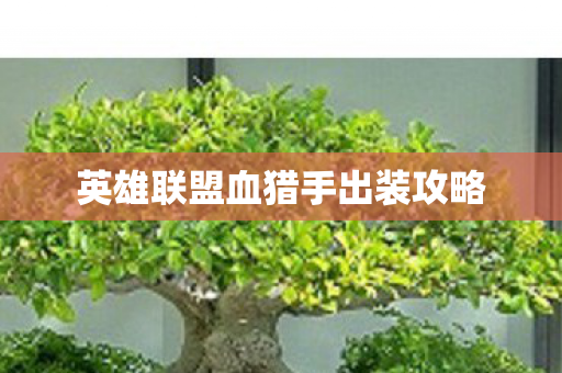 英雄联盟血猎手出装攻略图片