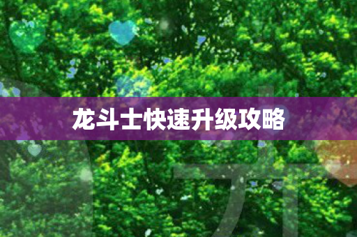 龙斗士快速升级攻略图片