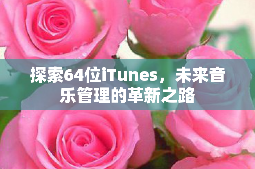 探索64位iTunes图片