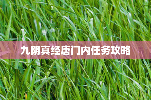 九阴真经唐门内任务攻略图片