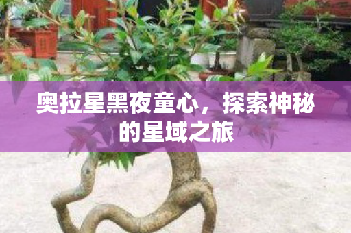 探索神秘的星域之旅图片