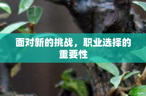 职业选择的重要性图片