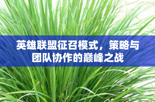 策略与团队协作的巅峰之战图片