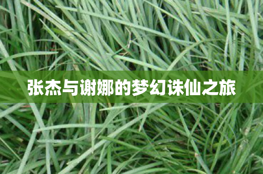 张杰与谢娜的梦幻诛仙之旅图片