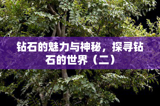 钻石的魅力与神秘图片