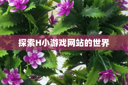 探索H小游戏网站的世界图片