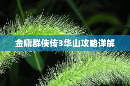 金庸群侠传3华山攻略详解图片