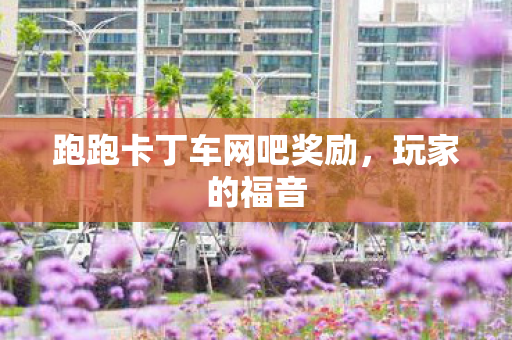 跑跑卡丁车网吧奖励图片