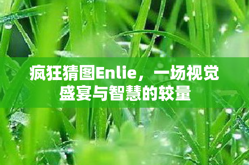 一场视觉盛宴与智慧的较量图片