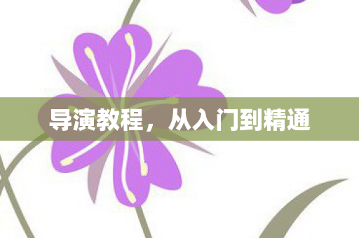从入门到精通图片