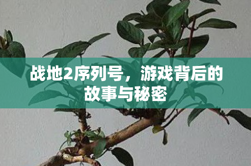 游戏背后的故事与秘密图片