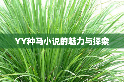 YY种马小说的魅力与探索图片