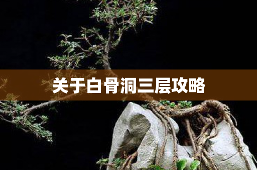 关于白骨洞三层攻略图片