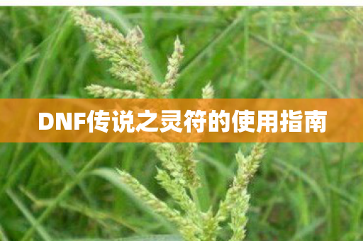 DNF传说之灵符的使用指南图片