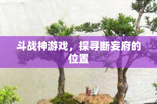 探寻断妄府的位置图片