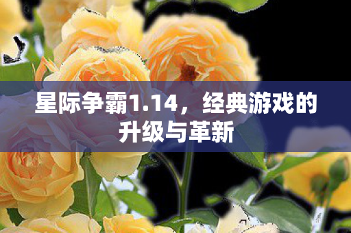 经典游戏的升级与革新图片