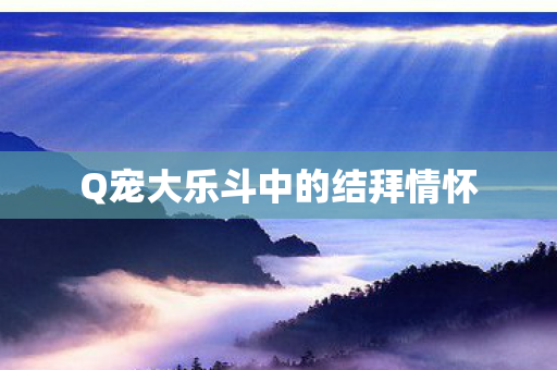 Q宠大乐斗中的结拜情怀图片