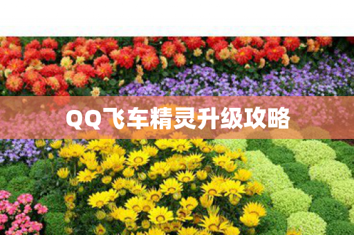 QQ飞车精灵升级攻略图片