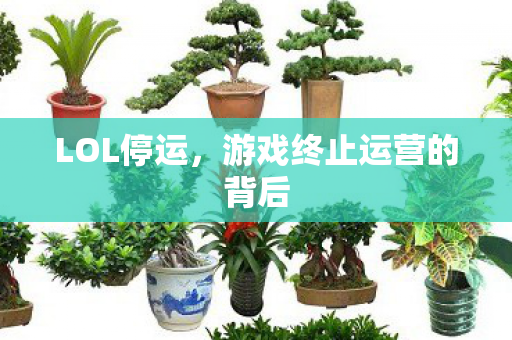 游戏终止运营的背后图片