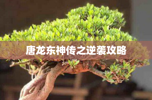唐龙东神传之逆袭攻略图片