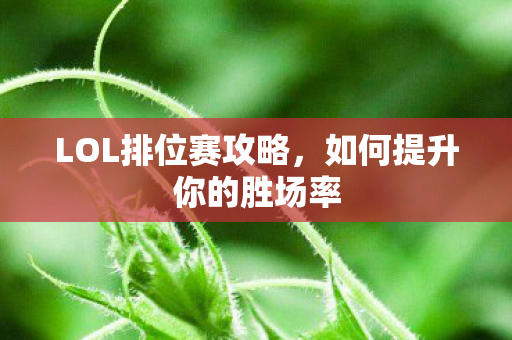 如何提升你的胜场率图片