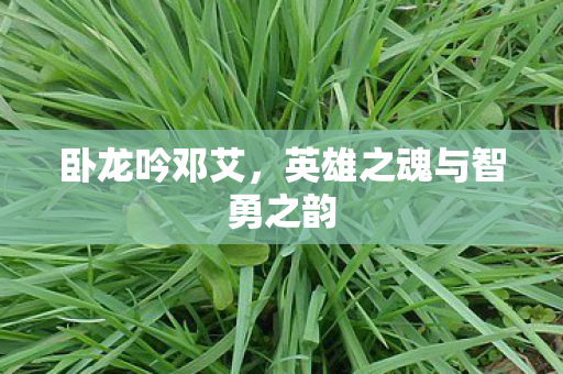 英雄之魂与智勇之韵图片
