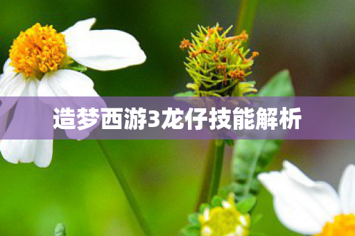 造梦西游3龙仔技能解析图片