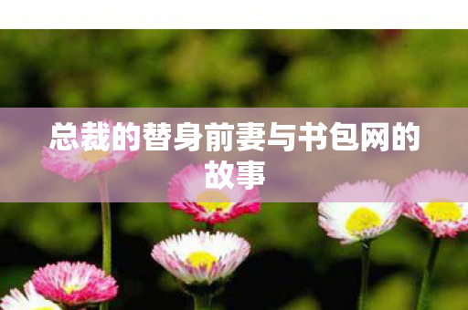 总裁的替身前妻与书包网的故事图片