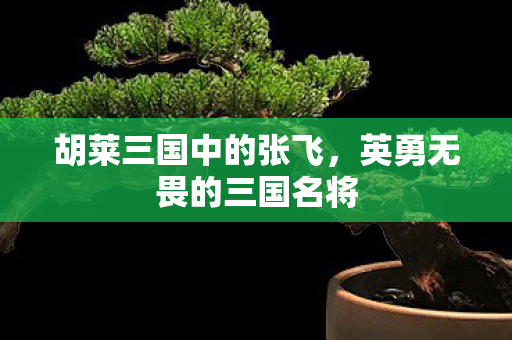 英勇无畏的三国名将图片