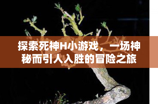 一场神秘而引人入胜的冒险之旅图片