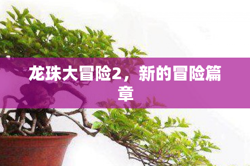 龙珠大冒险2图片