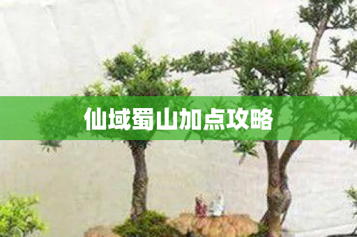 仙域蜀山加点攻略图片