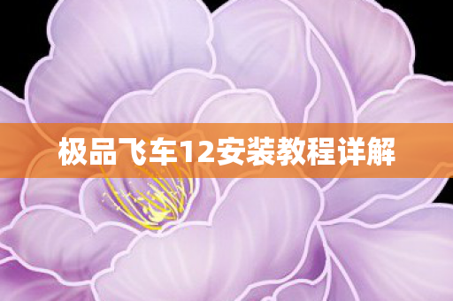 极品飞车12安装教程详解图片
