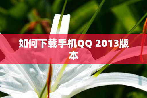 如何下载手机QQ 2013版本图片
