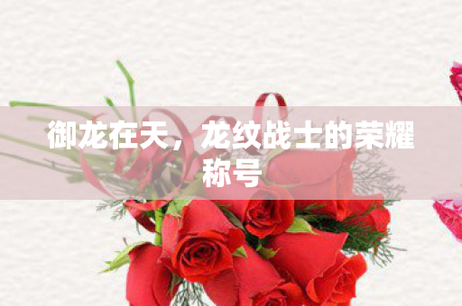 龙纹战士的荣耀称号图片