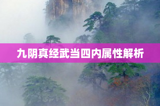 九阴真经武当四内属性解析图片