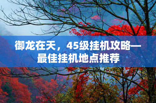 最佳挂机地点推荐图片