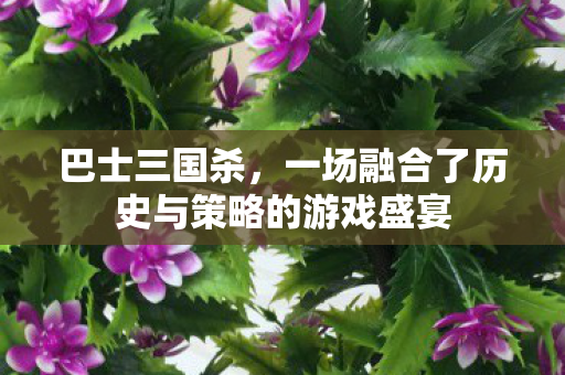 一场融合了历史与策略的游戏盛宴图片